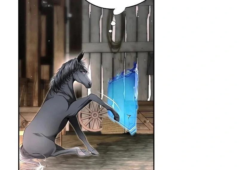 74288229 800 570 46122